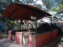 Vermicompost Unit